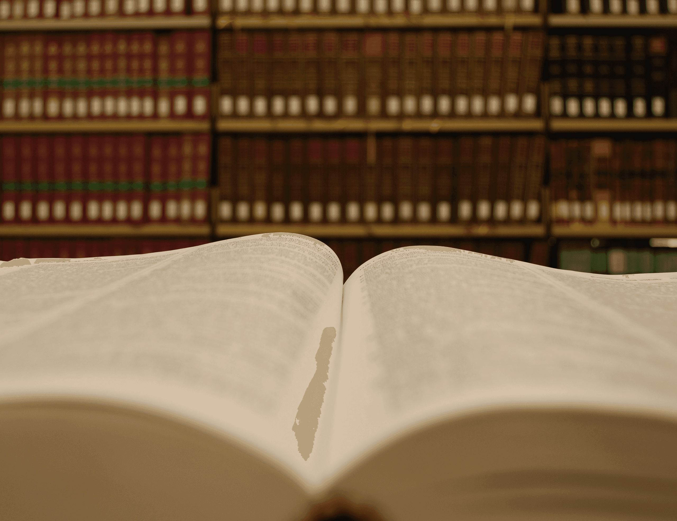 Do Law Schools Use AI Detectors?