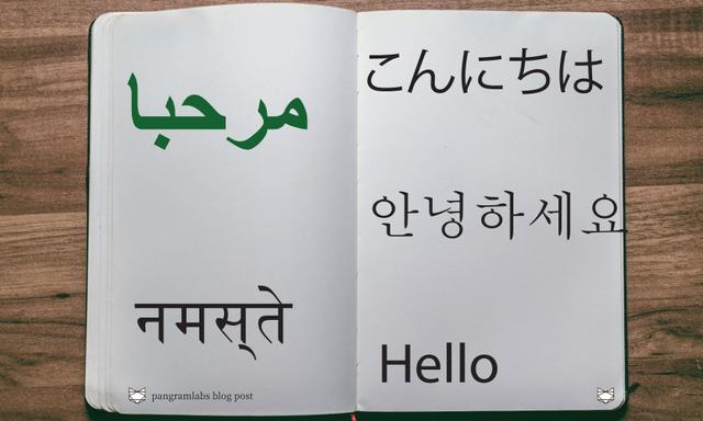 Pangram's AI Detector demonstrates strong performance in over 20 languages